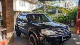 Black Ford Escape 2009 for sale in Automatic