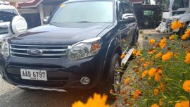 Ford Everest 2014 Manual for sale in Iloilo