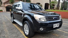 Black Ford Everest 2014 for sale in Makati