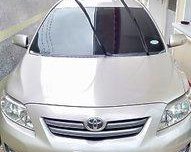 Beige Toyota Corolla Altis 2008 Manual for sale