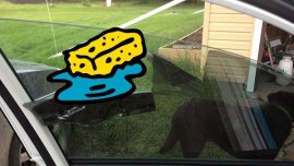 How to safely remove your car's window tint