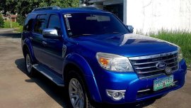 Blue Ford Everest for sale in Bacolor