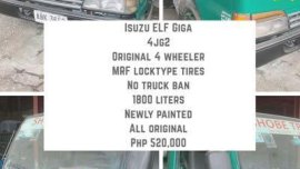 Sell Green Isuzu Giga in Quezon City