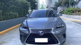 Sell Grey Lexus Nx in Bonifacio