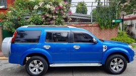 Blue Ford Everest for sale in Manila