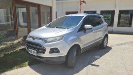 Selling used Brightsilver 2017 Ford EcoSport Wagon by trusted seller