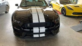 MUSTANG GT350 SHELBY