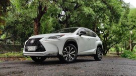  White Lexus NX 2018 for sale in Automatic