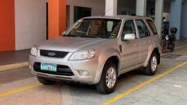 Sell Silver 2013 Ford Escape in Pasay