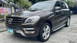 Silver Mercedes-Benz ML250 2013 for sale in Pasig 