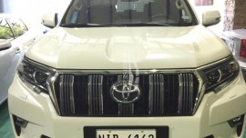 Good as new, no dents/scratches/accident history. Diamond coating hippo mattings