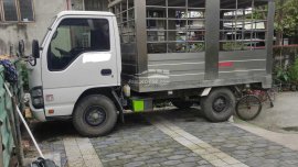 Isuzu Elf Truck 2019