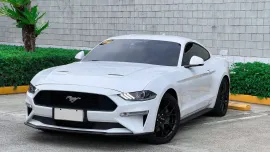 HOT!!! 2023 Ford Mustang Ecoboost for sale at affordable price! 
