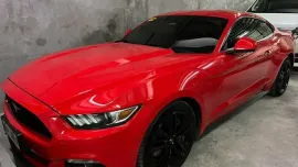 HOT!!! 2017 Ford Mustang Ecoboost for sale at affordable price!