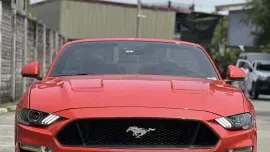 HOT!!! 2019 Ford Mustang for sale at affordable price! 