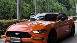 HOT!!! 2021 Ford Mustang GT Convertible “55 Years Edition” for sale at affordable price! 