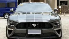 HOT!!! 2019 Ford Mustang Ecoboost Loaded for sale at affordable price! 