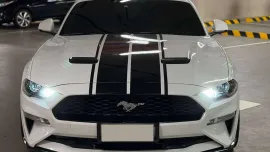 HOT!!! 2019 Ford Mustang Ecoboost for sale at affordable price! 