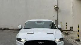 HOT!!! 2019 Ford Mustang Ecoboost 2.3L for sale at affordable price! 