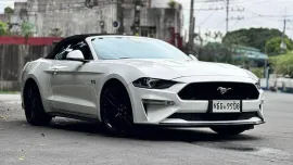 HOT!!! 2019 Ford Mustang GT for sale at affordable price! 