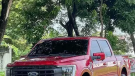 HOT!!! 2022 Ford F-150 Platinum for sale at affordable price! 