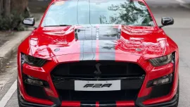 HOT!!! 2023 Ford Mustang Shelby GT500 “Cobra” for sale at affordable price! 