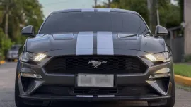 HOT!!! 2019 Ford Mustang Ecoboost for sale at affordable price! 