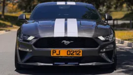 HOT!!! 2019 Ford Mustang Ecoboost for sale at affordable price!