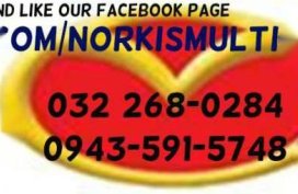 Multicab suzuki pick-up 4x4 lift-up scrum - Cebu region Registration