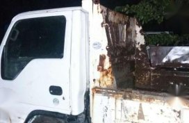 Isuzu Elf 4hf1  White For Sale