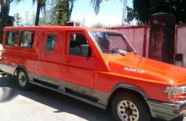 XLT Ford Piera custom build