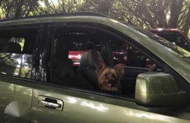 Nissan X-trail Automatic 2005