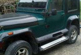 2003 Wrangler Jeep AT Green SUV For Sale