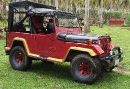 Jeep Wrangler type