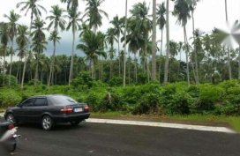 Powerful 1998 Toyota Corolla Gli Lovelife For Sale