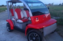 Ford Think Neighbor 2002 for sale 