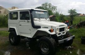 Landcruiser 40 series