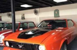 1973 Ford Mustang Mach 1 302 V8 For Sale 