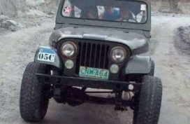 Fresh Jeep CJ7 MT 2.0 SUV Gray For Sale