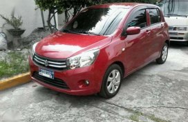 2016 suzuki celerio at new look