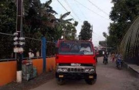 1994 Isuzu Elf Truck for sale (14 ft)