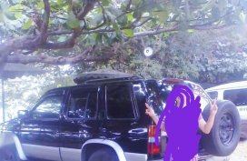 80k Rush Sale Nissan Terrano for sale