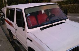 Toyota Tamaraw FX GL 1995 MT White For Sale 