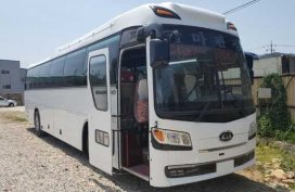 Well-kept Korean Bus Kia Granbird Parkway 2016 for sale