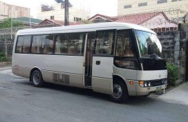 2006 Mitsubishi Rosa for sale