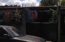 For sale Nissan Sentra lec 1995