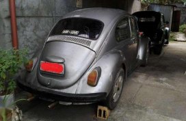 Two Volkswagens 1969 and 1974 model