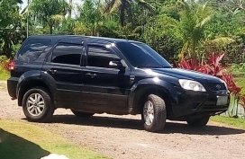 Ford Escape 2010 suv for sale