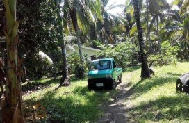 Suzuki Multicab 2017 for sale