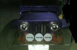 Owner Type Jeep 1994 for sale 